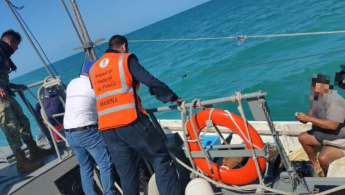 Secretaría de Marina decomisa herramientas de pesca ilícita en Progreso y Dzilam de Bravo