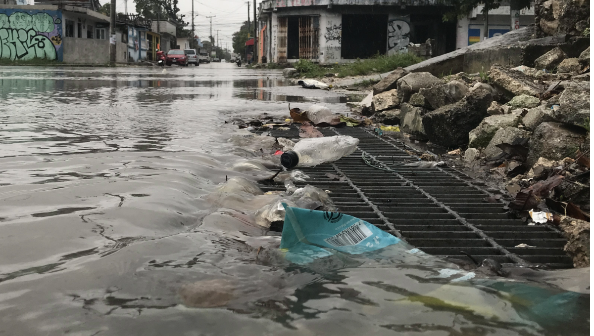 Un recorrido por avenidas clave en el primer cuadro de la ciudad reveló la presencia de coladeras bloqueadas por hojas y basura