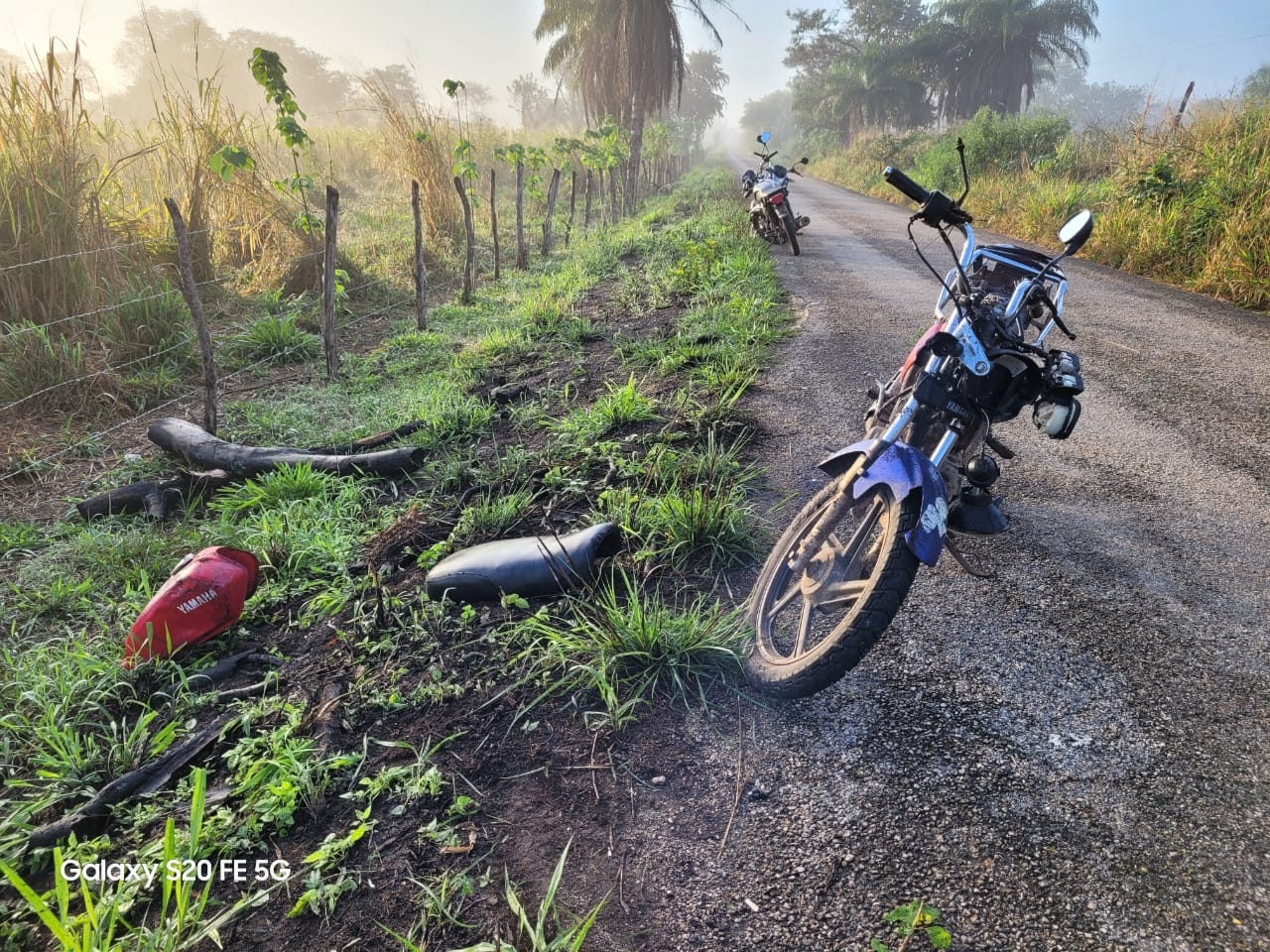 Motociclista se estrella contra una vaca en la vía Dzonot Ake-Xmakulan