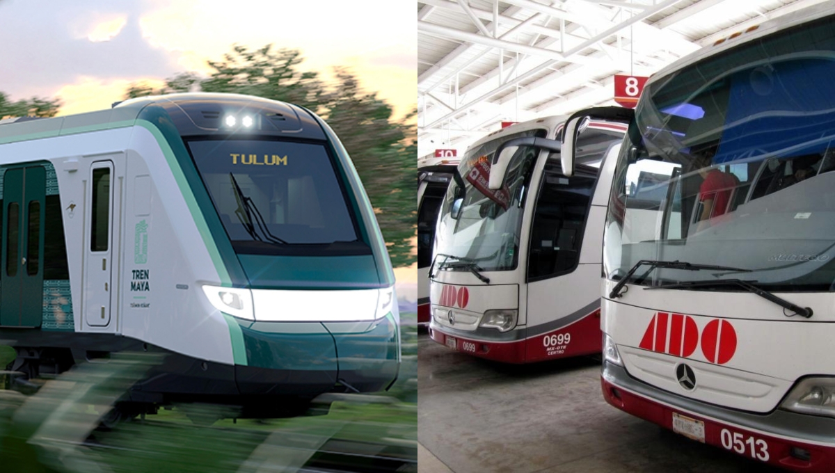 Tren Maya vs autobús: en cuál es más barato viajar desde Mérida