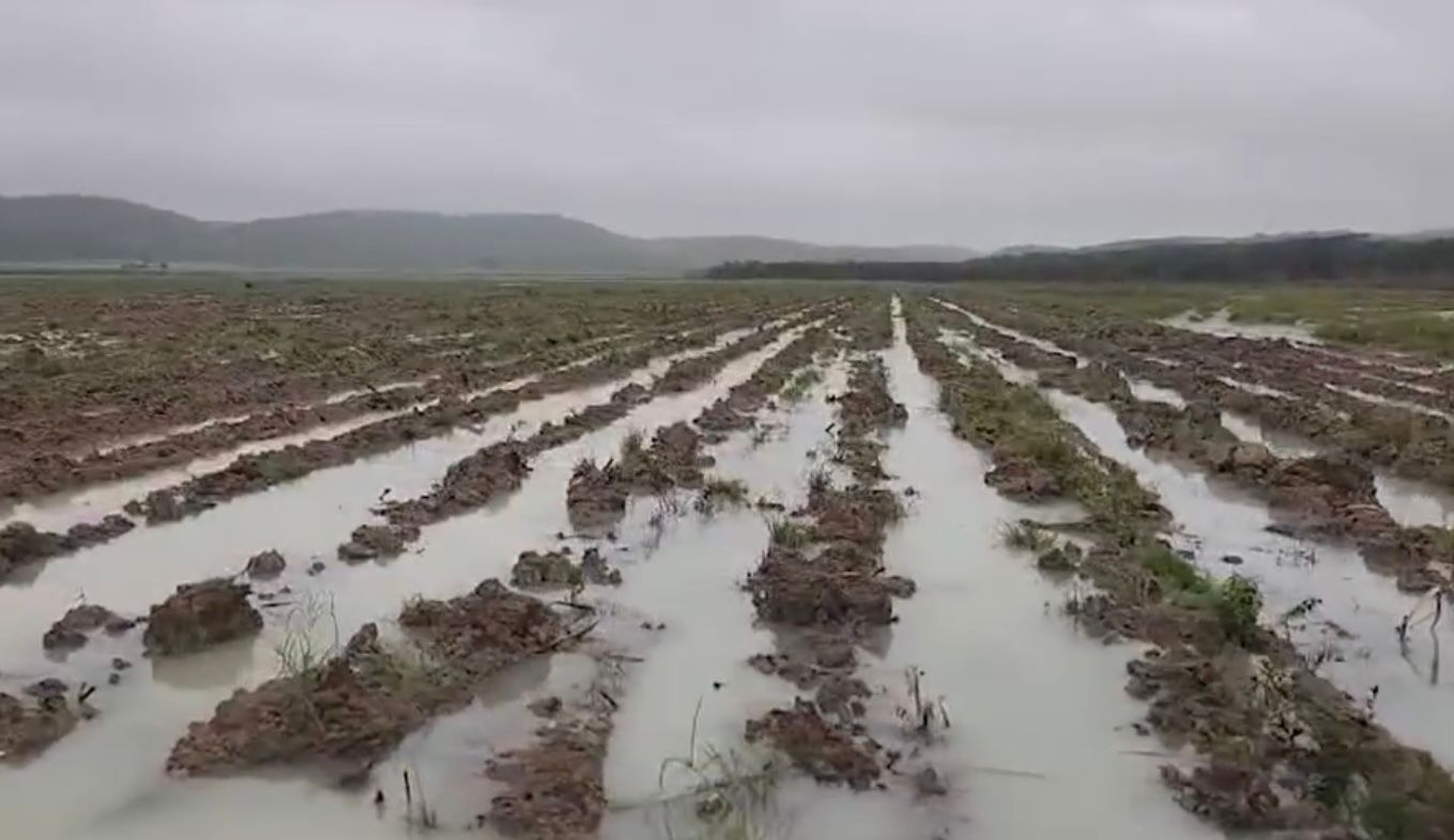 La molienda en el Ingenio San Rafel de Pucté es afectada por el temporal que ingresó a Quintana Roo el fin de semana pasado.