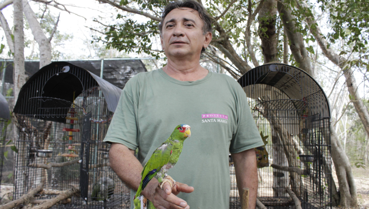 Medina Ancona indicó que en esta unidad hay casos de aves que fueron rescatadas muy maltratadas