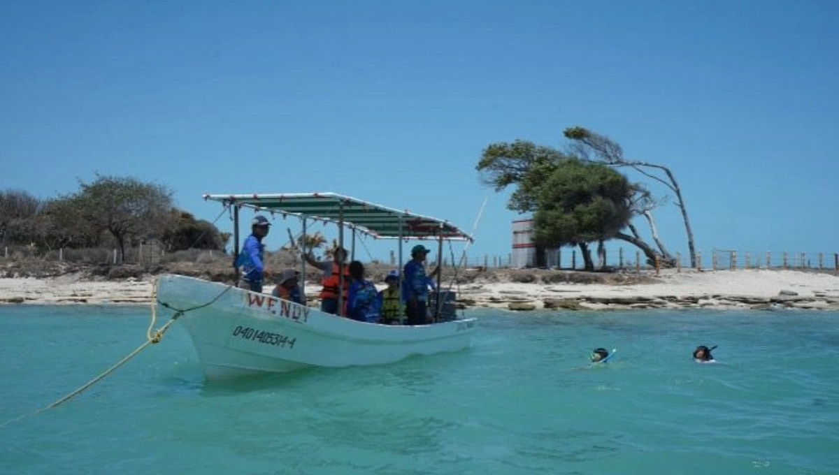 Nombran a Isla Aguada como Zona de Refugio Pesquero; tendrá mil 13 hectáreas protegidas