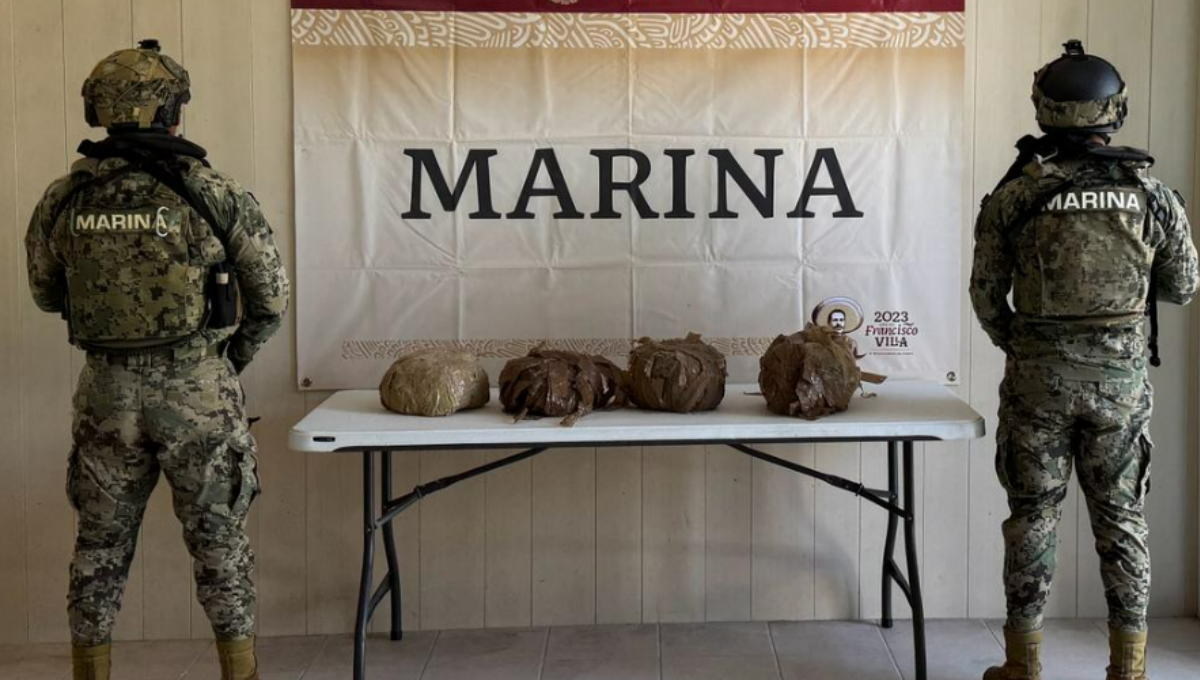 Marina asegura paquetes con presunta marihuana en Isla Contoy, Quintana Roo