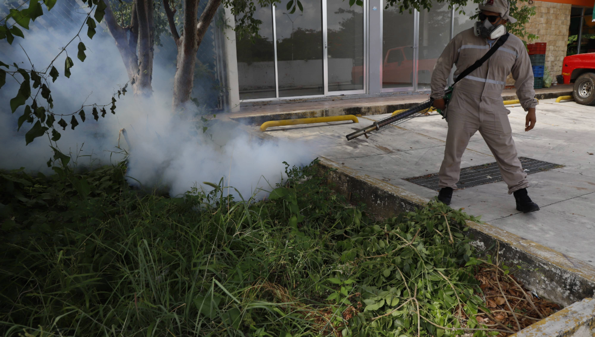 Yucatán suma 111 casos de dengue, cinco se han diagnosticado como graves: Secretaría de Salud