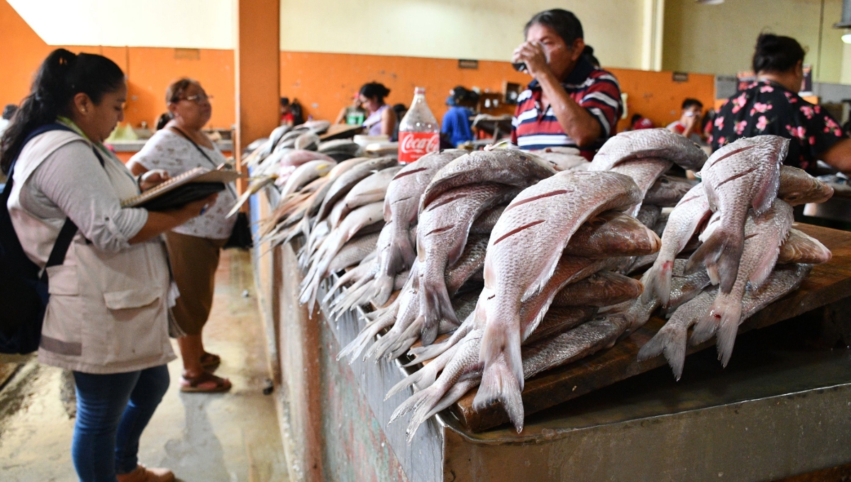 En el mercado principal se venden diferentes especies de pescados, rayas y camarones