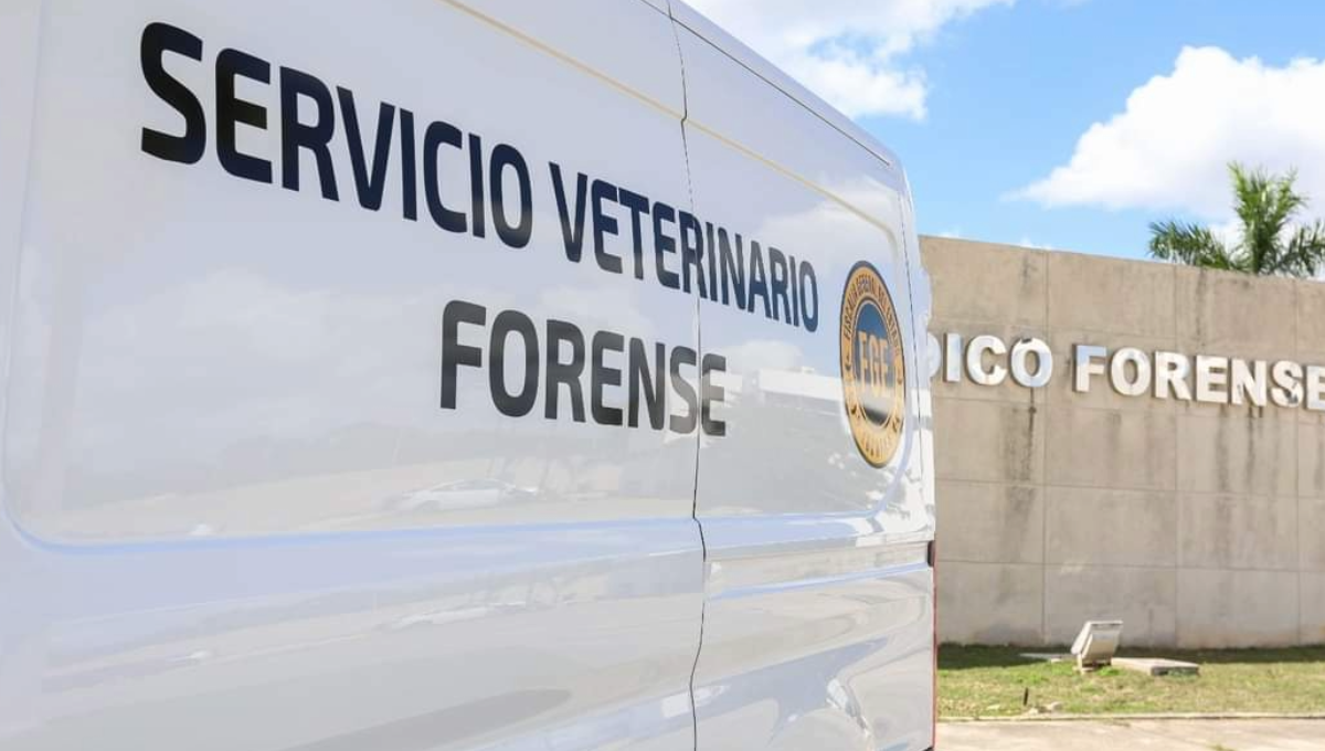 Servicio Veterinario Forense de Yucatán atendió tres casos a una semana de su apertura