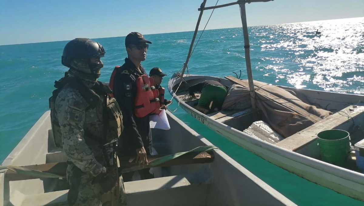 Secretaría de Marina ejecuta operativo en Celestún, Yucatán, por casos de pesca ilegal