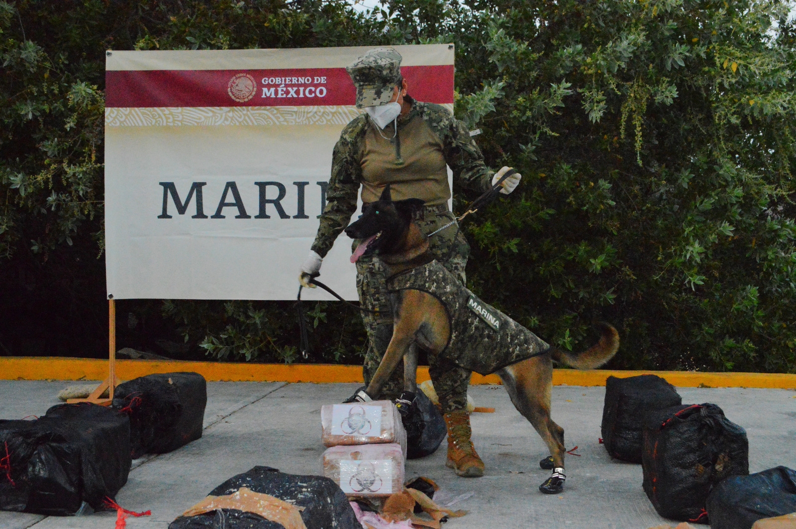 Secretaría de Marina asegura 672 kilogramos de clorhidrato de cocaína en las costas de Oaxaca