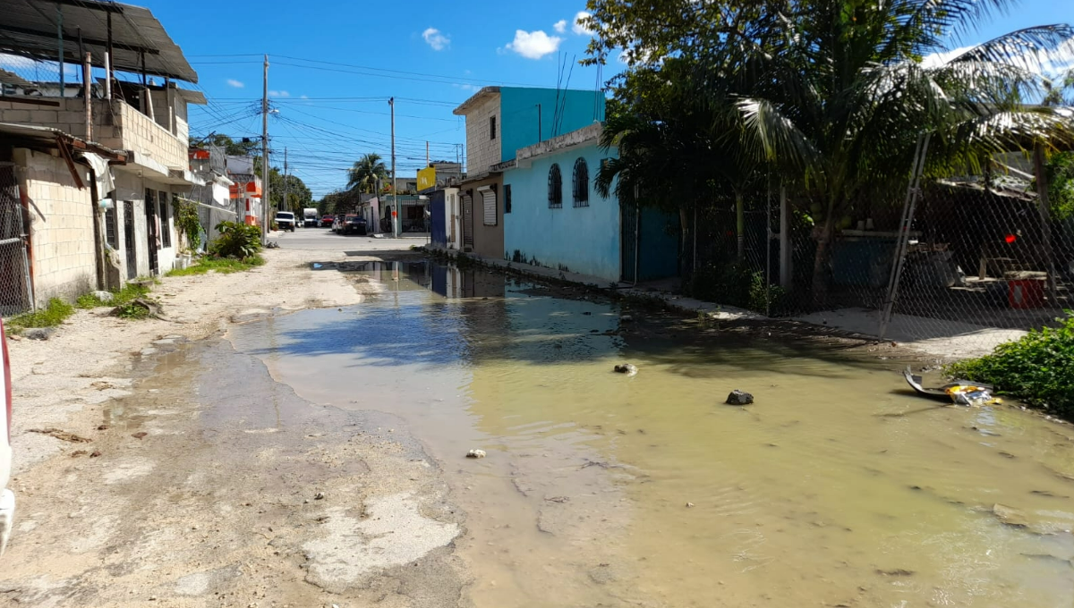 Vecinos de la Región 94 en Cancún temen por el dengue y otras enfermedades por agua estancada