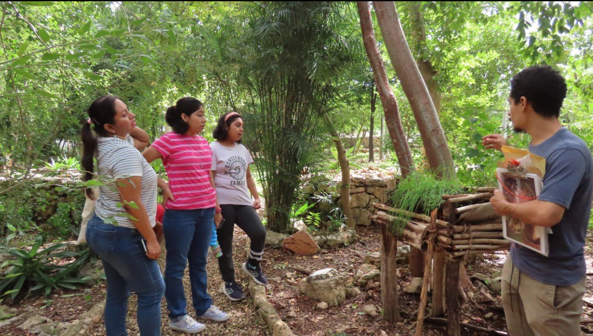 Prevén la apertura del primer Centro de Cultura de la Sustentabilidad en Mérida
