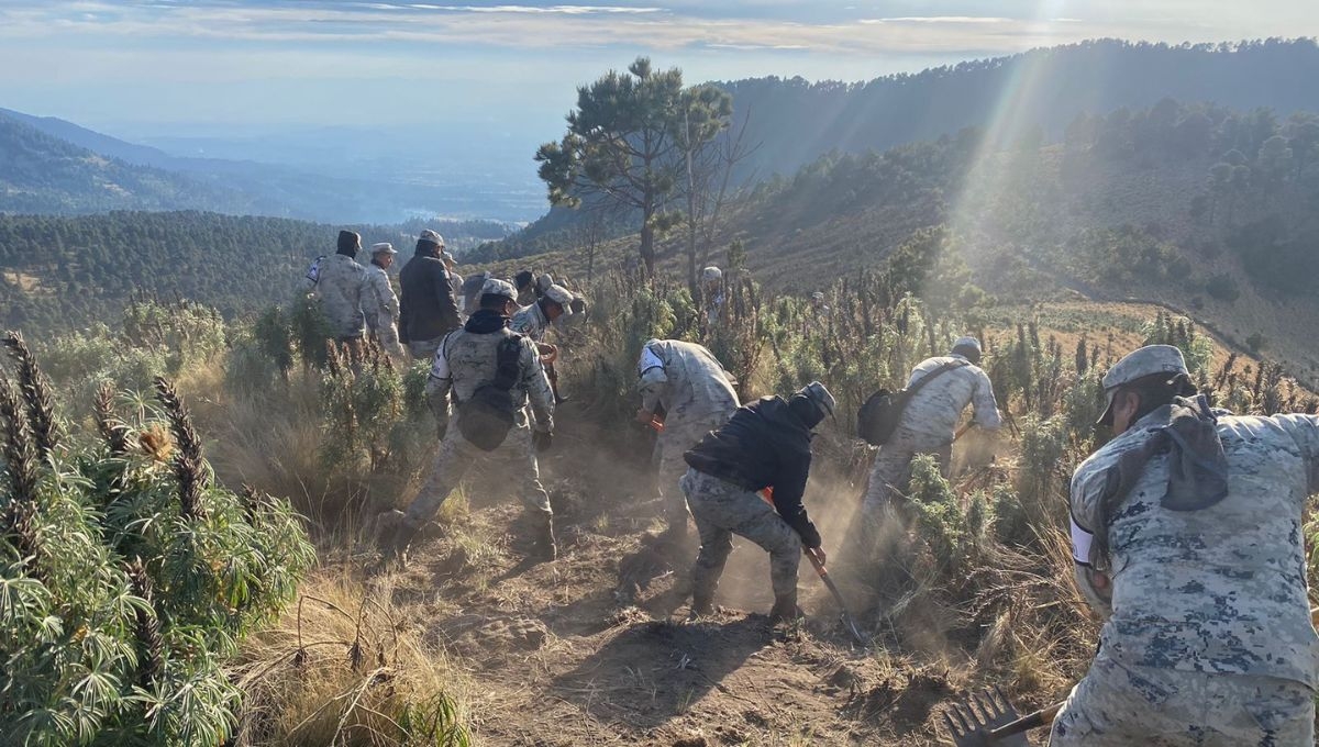 Elementos de la Guardia Nacional ayudan a sofocar el incendio forestal registrado en el Parque Nacional Izta-Popo