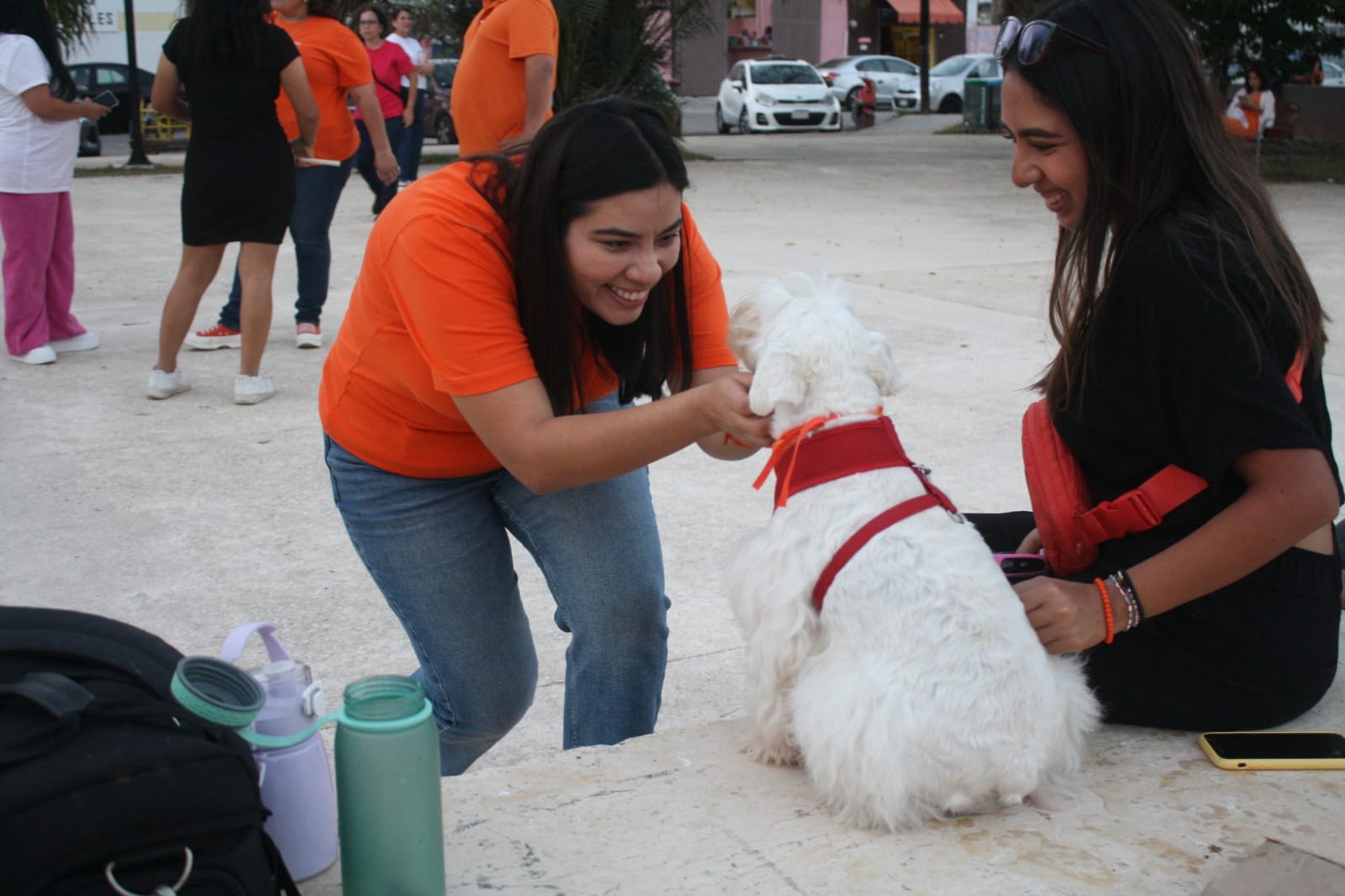 Vida Gómez Herrera realiza caminata canina en la Colonia Miraflores