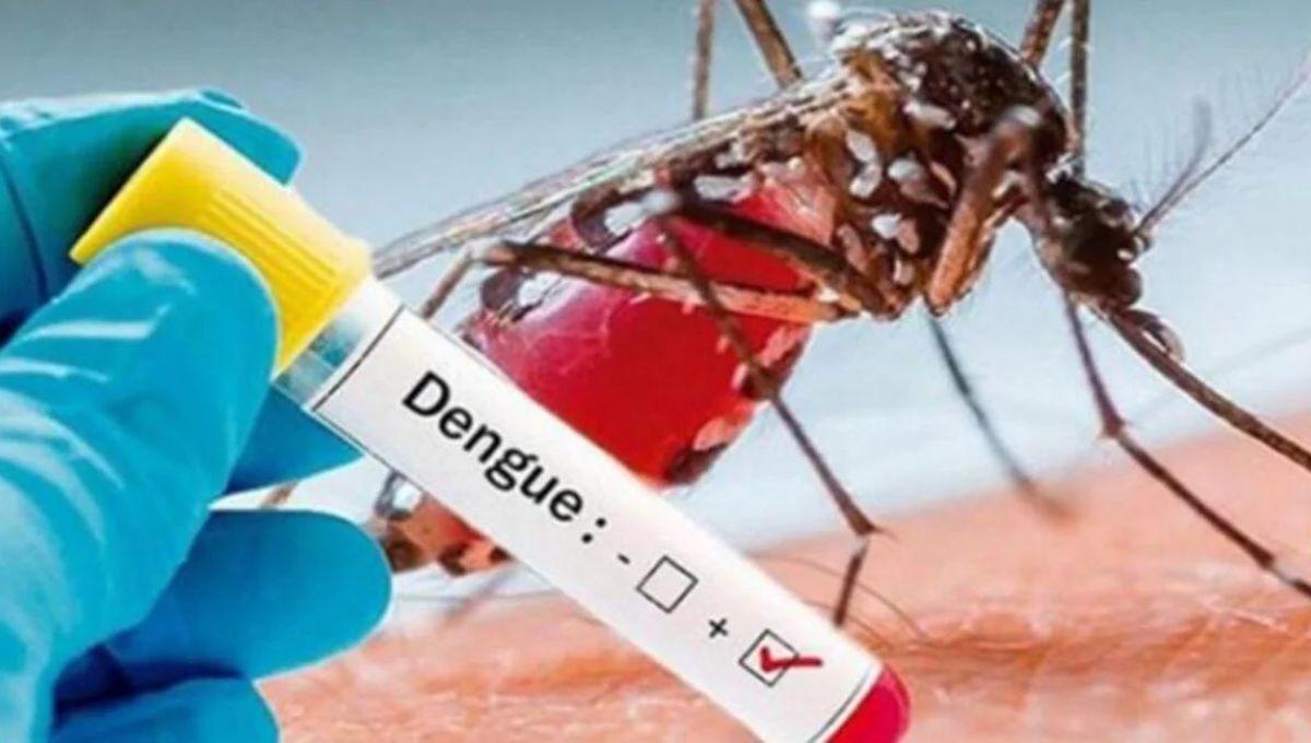 La epidemia de dengue en Sudamérica alcanza proporciones alarmantes en 2024