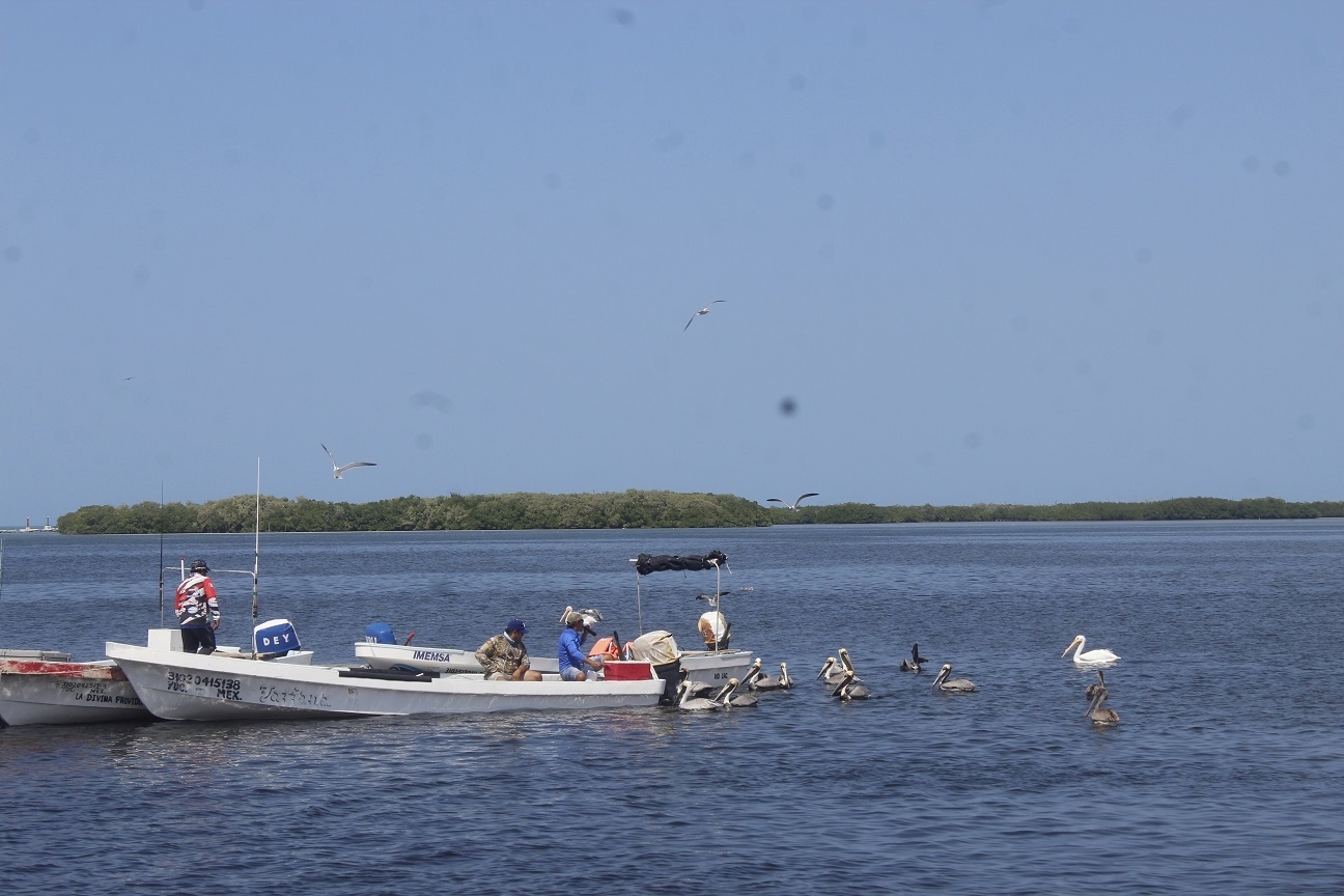 Pescadores temen la extinción de especies por la pesca ilegal durante la veda en Yucatán