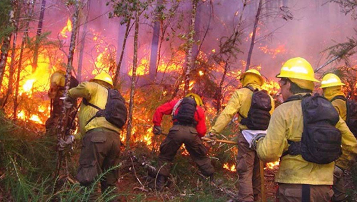 México enfrenta 113 incendios forestales activos en 20 estados