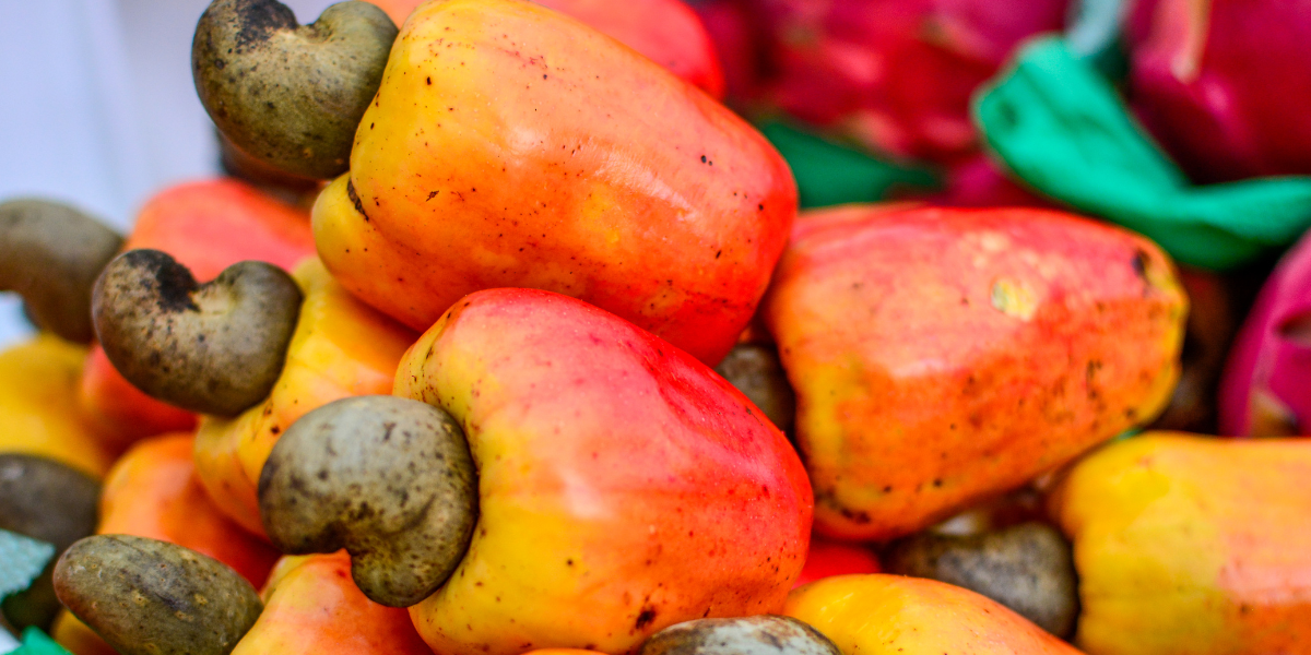 ¿Qué frutas comer en Campeche durante la Primavera?