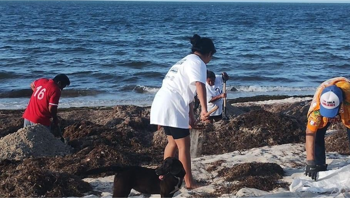 Pobladores se unen para limpiar la playa de San Crisanto, Sinanché