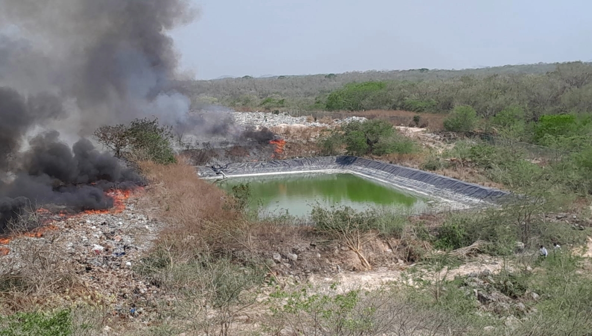 Incendio de maleza se sale de control en el basurero en Calkiní, Campeche