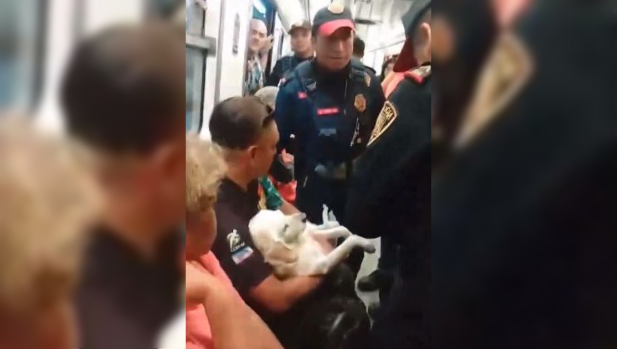 El hombre llevaba a su perro a un veterinario, ya que se encontraba herido