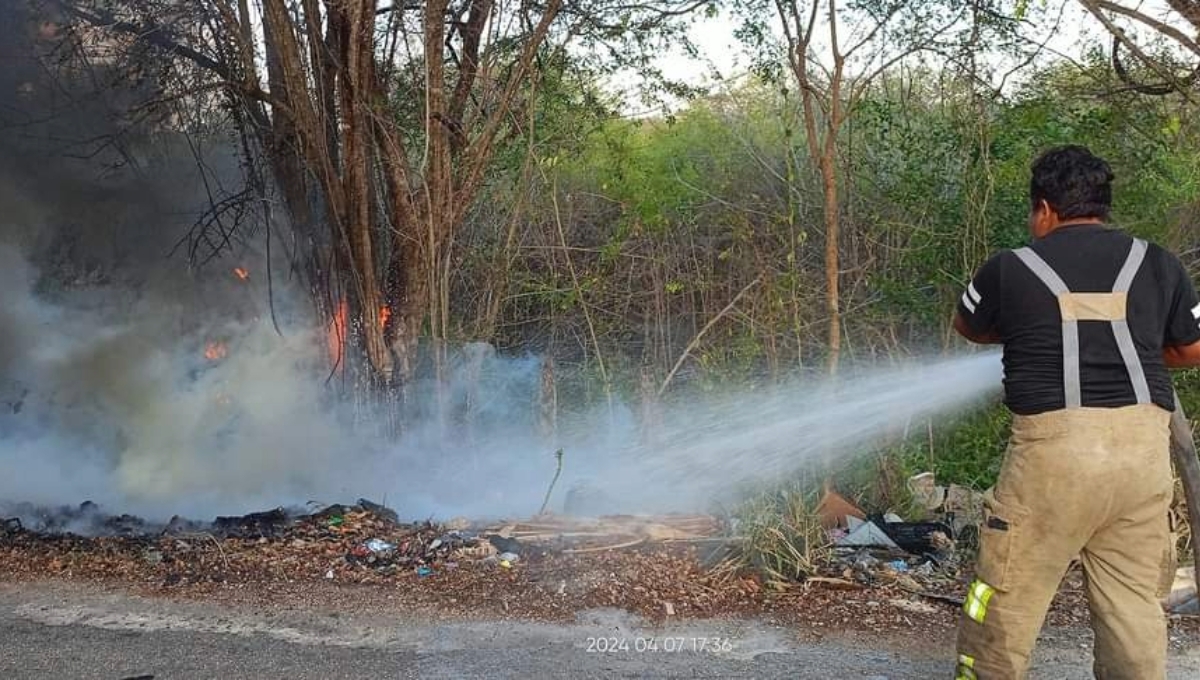 El incendio de maleza ocurrió en una brecha de la carretera federal Escárcega-Champotón