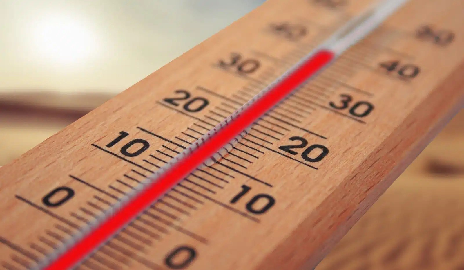 Alerta por onda de calor 2024: Estos estados tendrán temperaturas de 45°C