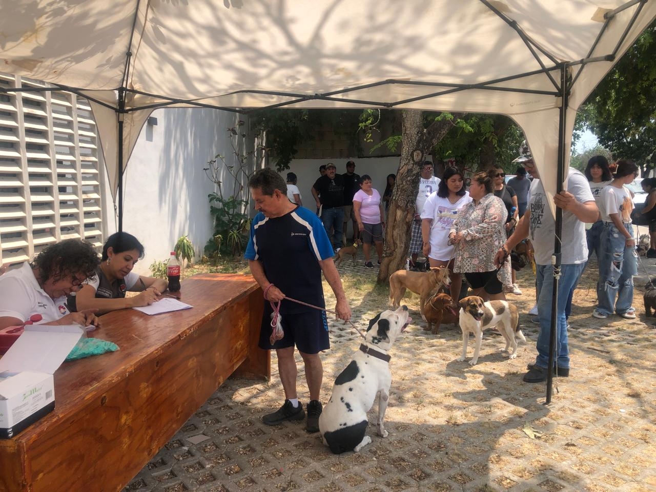 El Ayuntamiento de Cancún exige a los habitantes que registren a sus mascotas