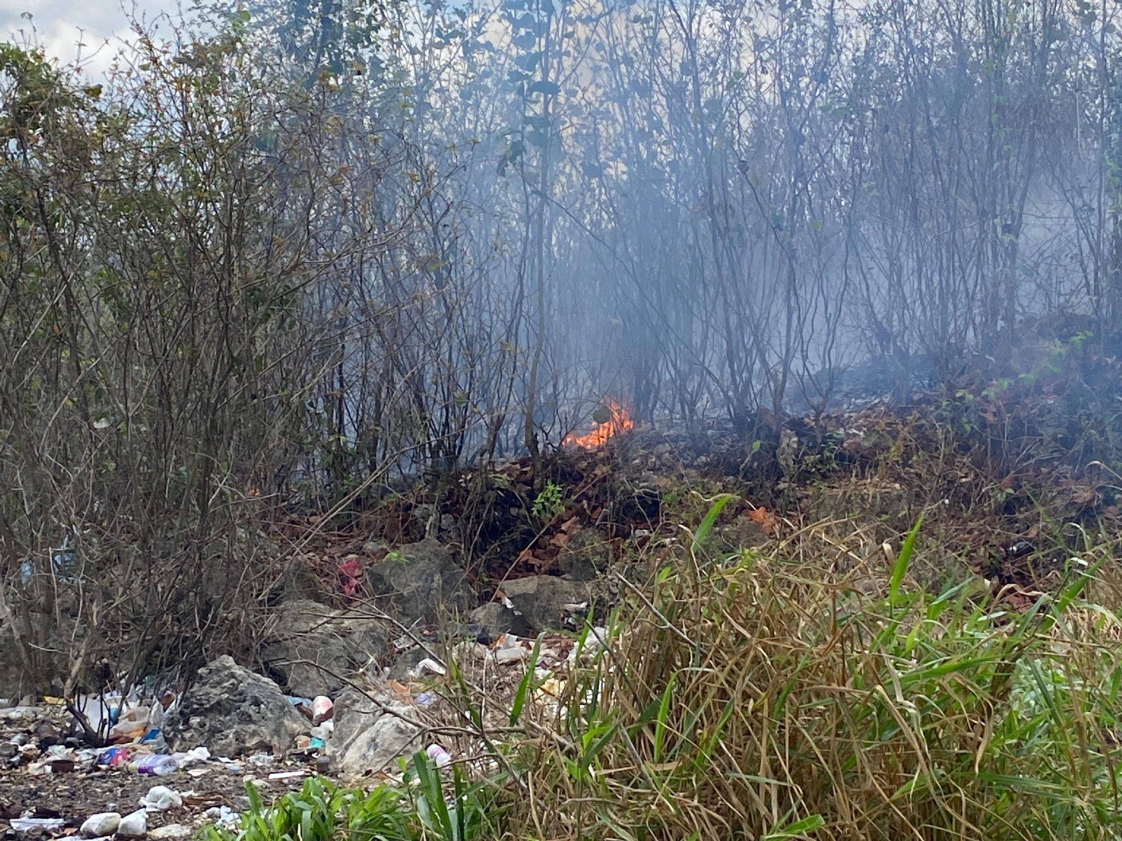 El incendio en Felipe Carrillo Puerto habría comenzado por quema de basura