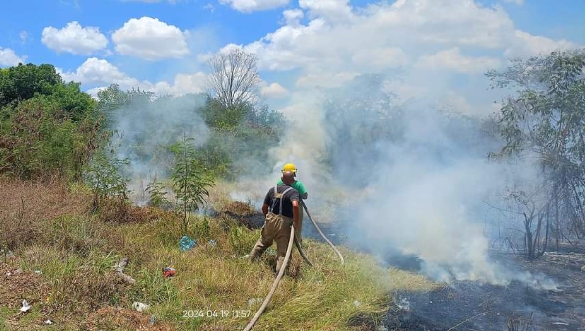 Por fortuna, el incendio no puso en riesgo a las viviendas más cercanas