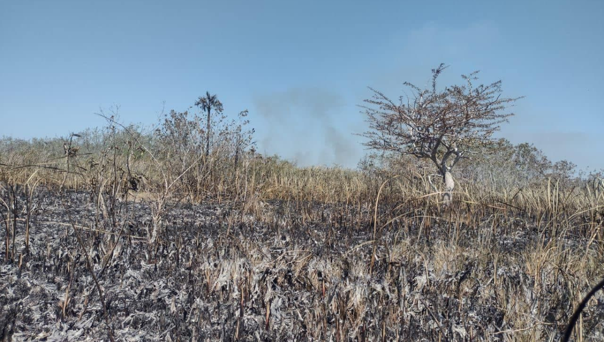 Incendio en Chun Ek, Campeche, deja siniestradas 2 mil 287 hectáreas