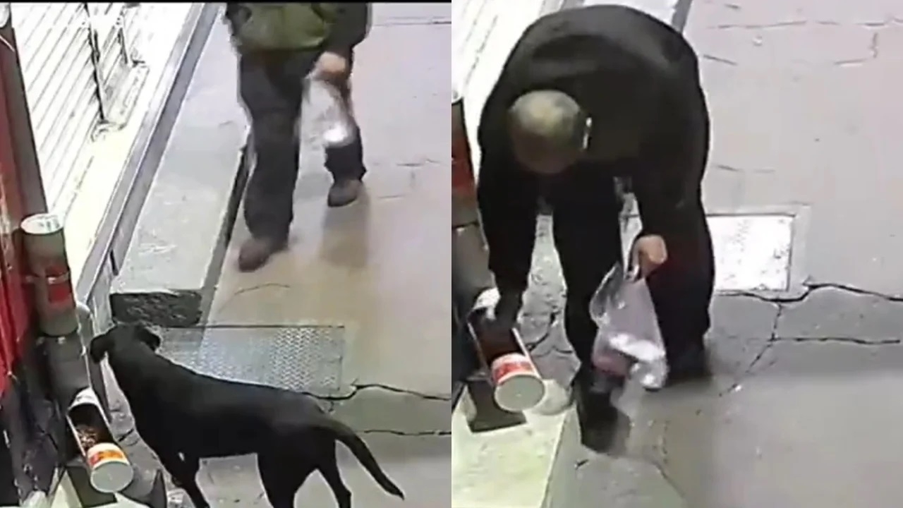 Hombre le roba sus croquetas a un perrito en el Edomex: VIDEO