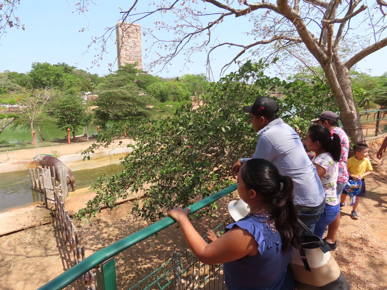 Animaya es uno de los zoológicos que hay en Mérida