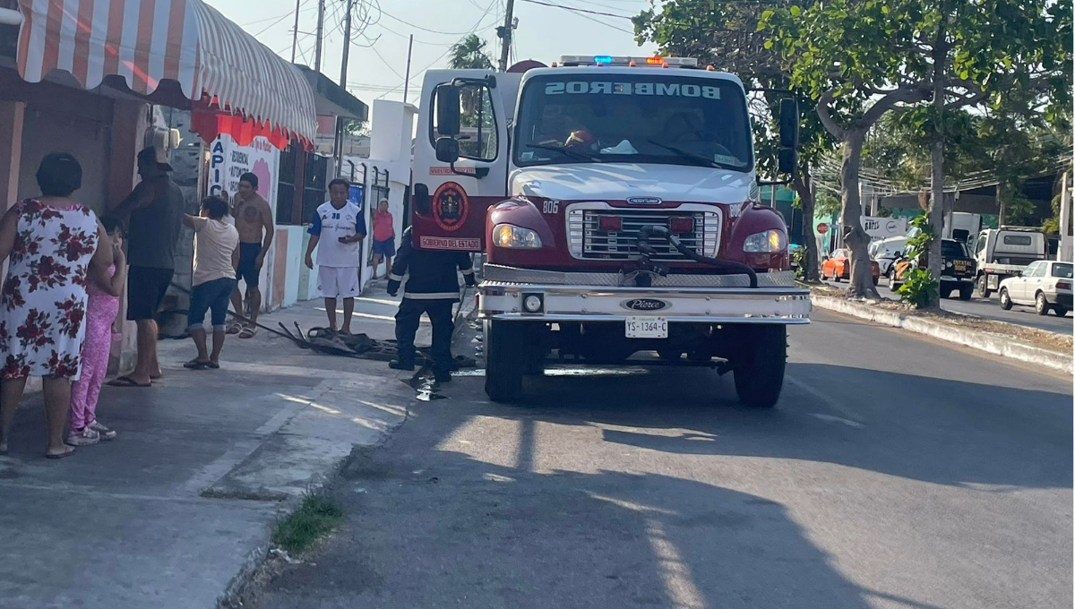 Se incendia tapicería en la colonia Felipe Carrillo Puerto, en Mérida: EN VIVO