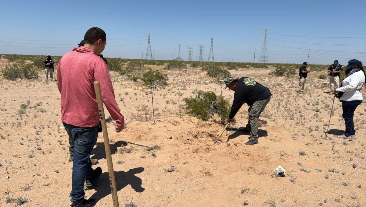El colectivo "Buscando en San Luis Río Colorado" localizó una fosa clandestina en una zona semi-desértica conocida como "Las Antenas"
