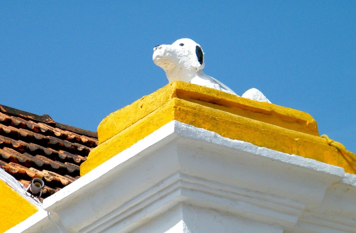 Leyendas de Campeche Marqués, el perro que salvó a una