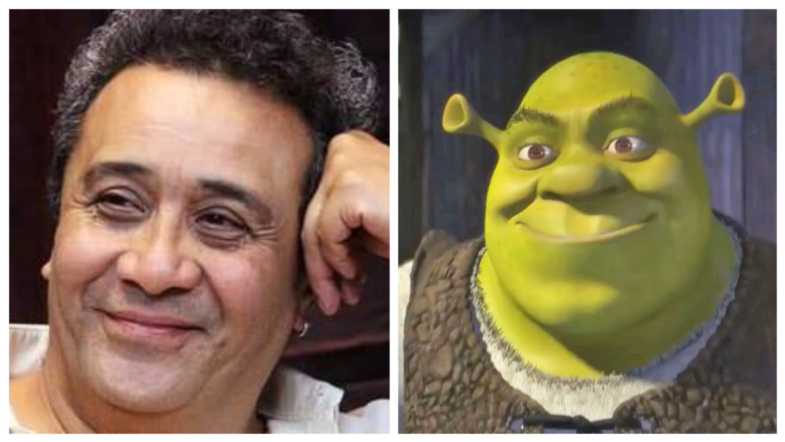 Piden a actor de doblaje hacer la voz de Shrek al llegar