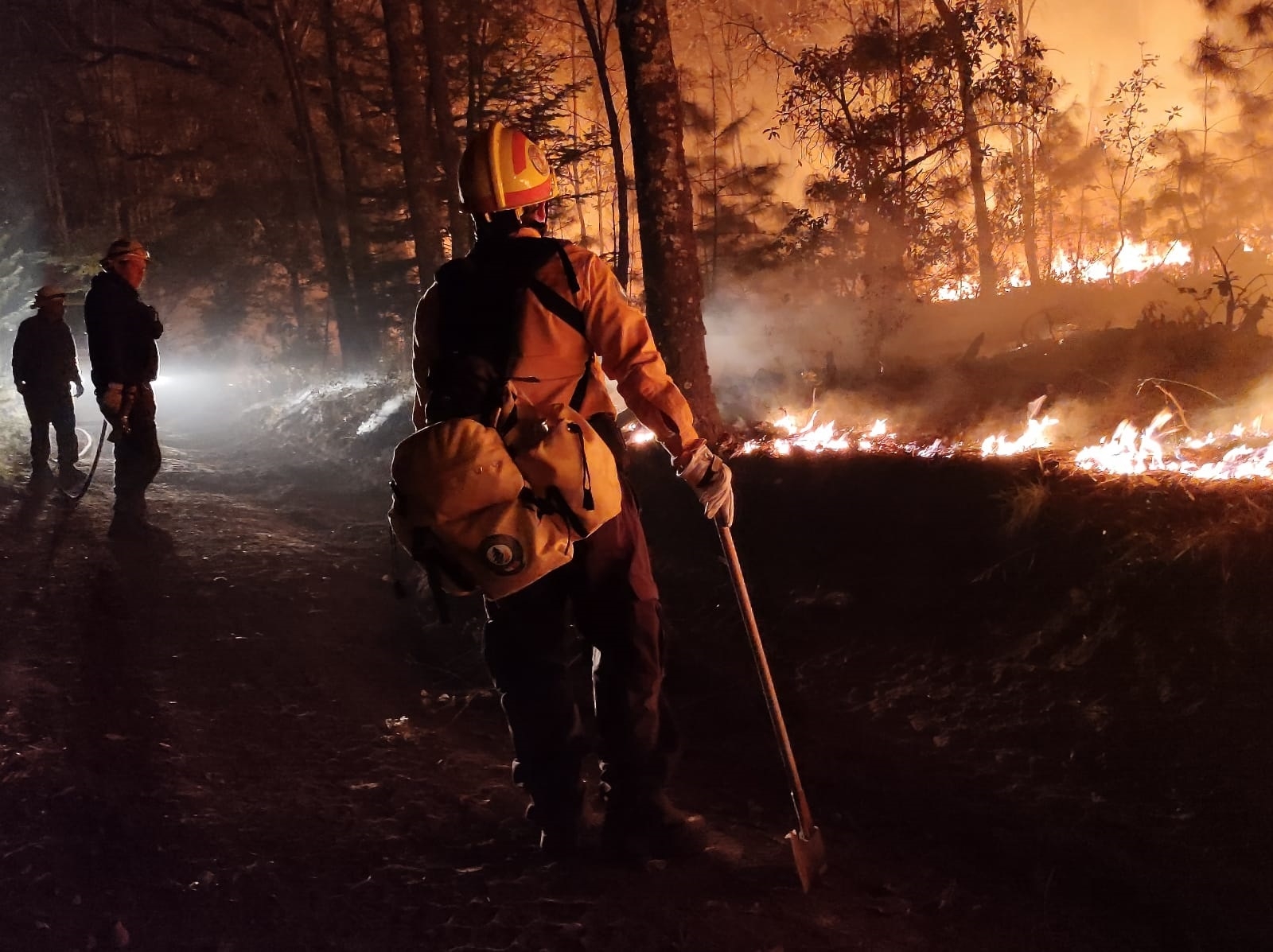 Incendios Forestales En Campeche Los Más Graves De México Han Devorado Más De 3 Mil 0349