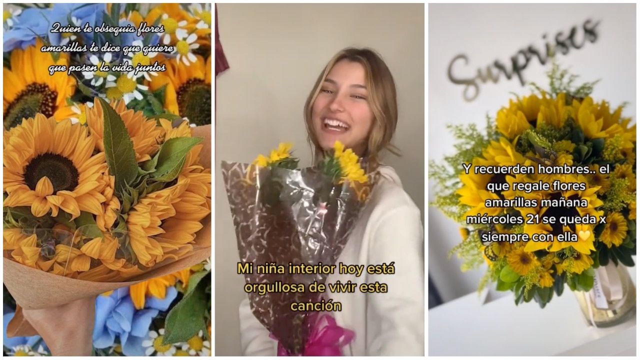 Por qué en TikTok son tendencia las flores amarillas Ésta es la razón PorEsto