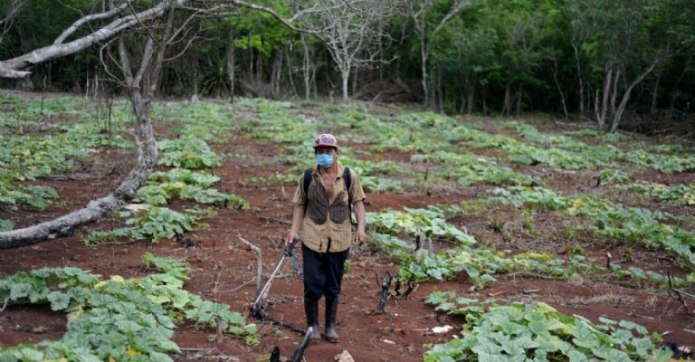 Las Águilas: así está la fortaleza en Xul a 8 años del fin del mundo maya |  PorEsto