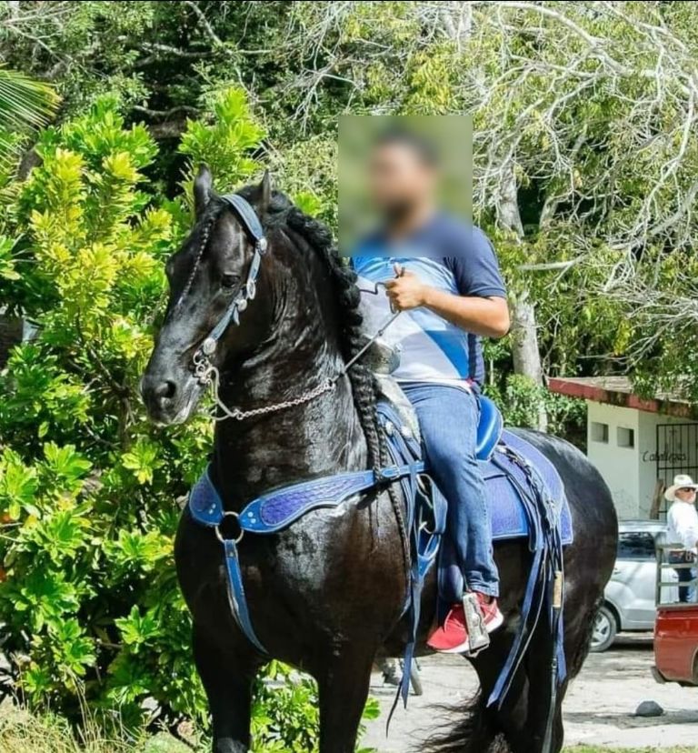 Revelan identidad del hombre ejecutado en Sergio Butrón Casas de Chetumal |  PorEsto