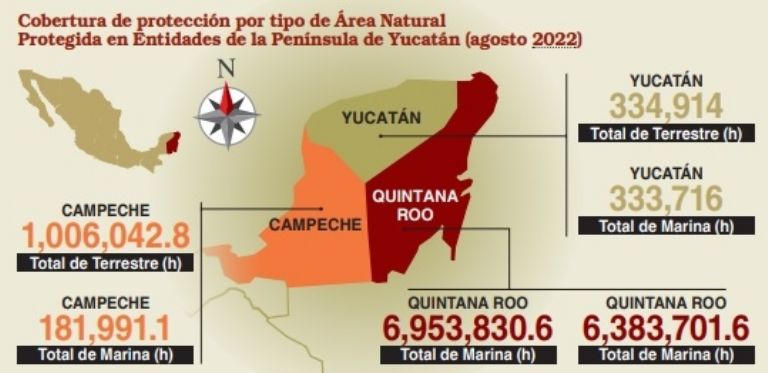 Península De Yucatán Concentra El 151 De Las Áreas Protegidas Naturales En México Poresto 3067