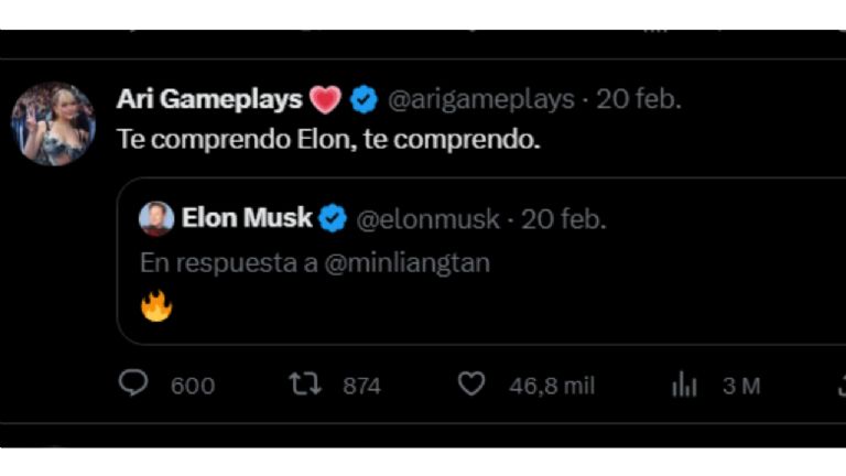 Quién es Ari Gameplays? La streamer mexicana a quien Elon Musk contactó en  Twitter - El Sol de México