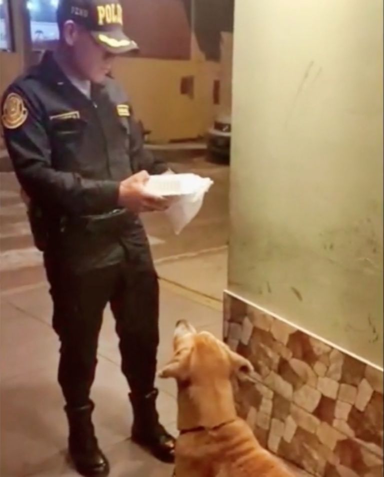 Policía de Perú se hace viral por comprar un pollo para un perrito  callejero | PorEsto